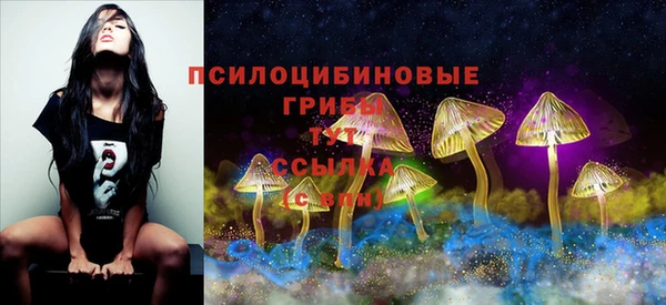 МДМА Заволжск