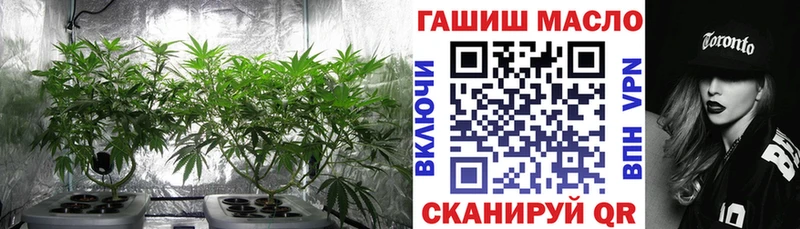 Купить закладки  Далматово  Дистиллят ТГК гашишное масло 