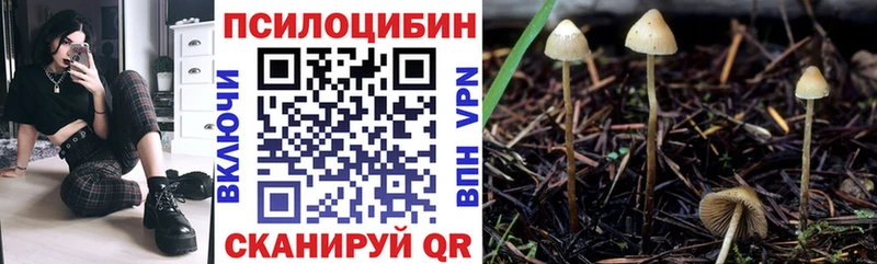 Купить  Далматово  Псилоцибиновые грибы мухоморы 